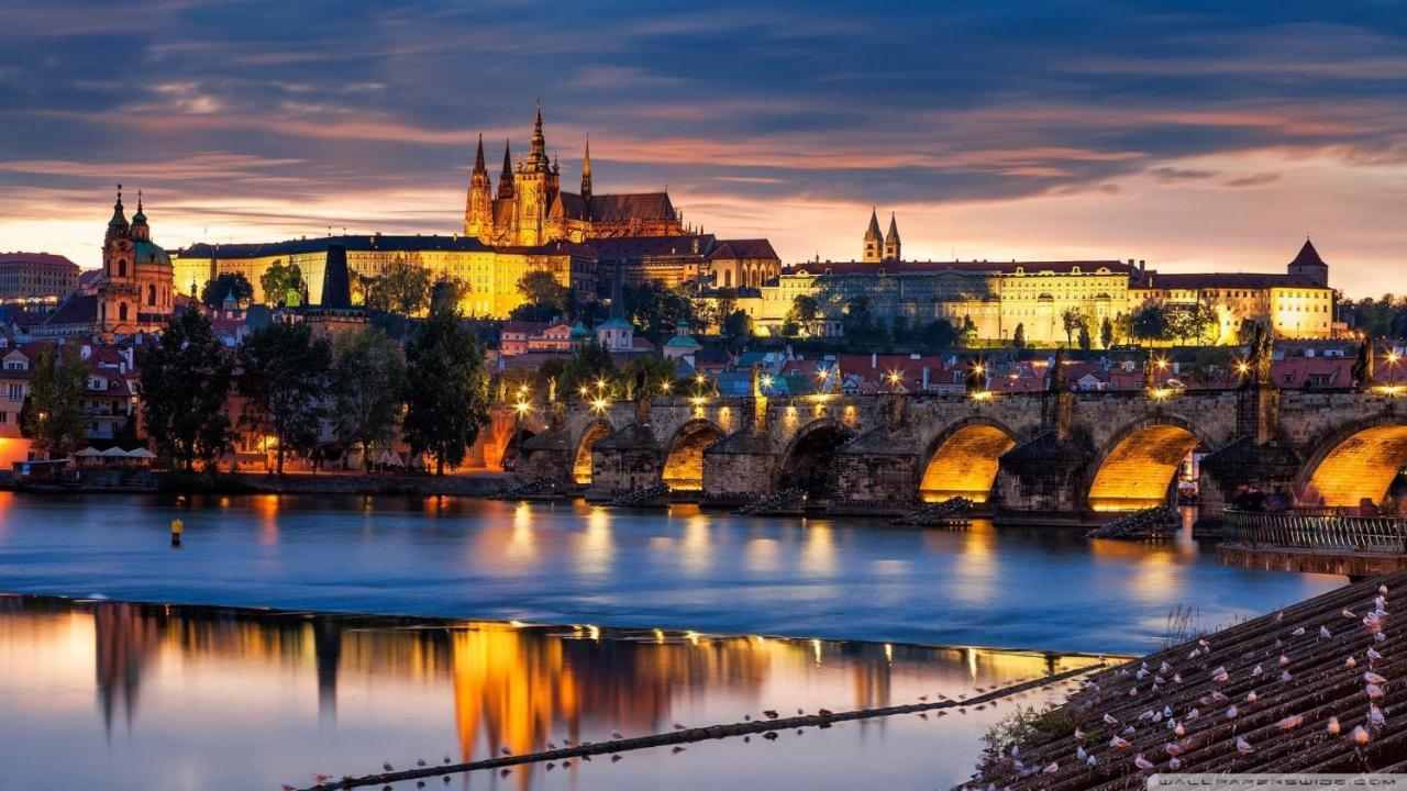 City Slezska Lejlighed *